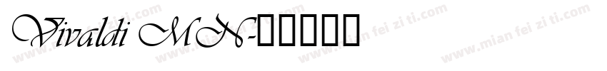 Vivaldi MN字体转换